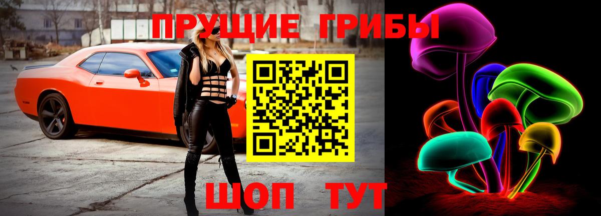 Псилоцибиновые грибы прущие грибы  Вход с VPN  Псков 