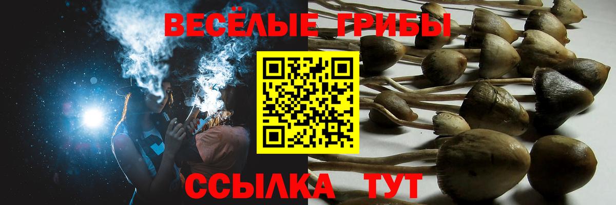 Псилоцибиновые грибы мухоморы Псков